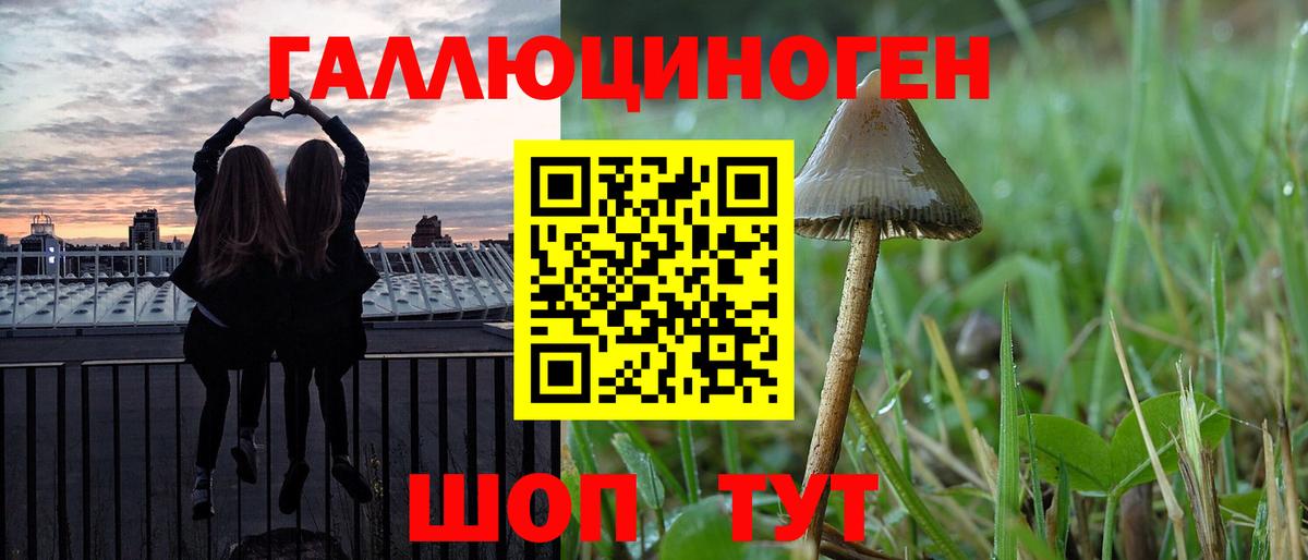 продажа наркотиков  Вход с VPN  Янаул  Псилоцибиновые грибы Magic Shrooms 